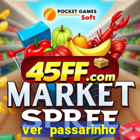 ver passarinho morto significado espiritual